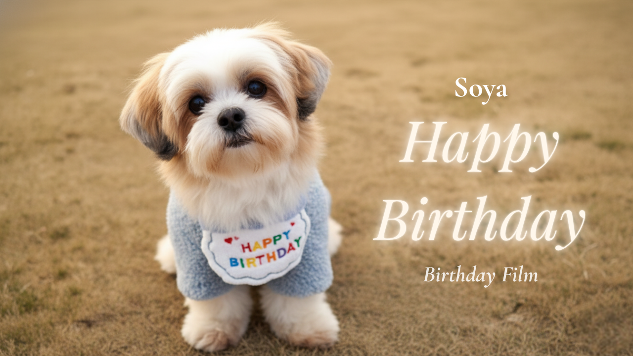 Pet Tribute PixiGram example